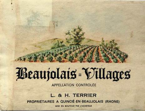 beaujolais villages terrier
